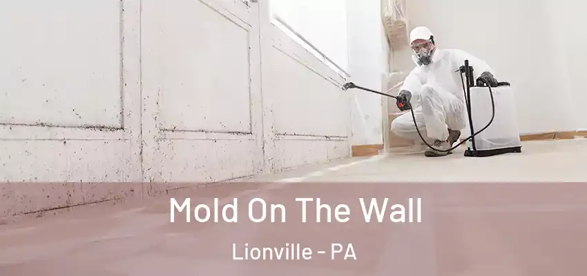  Mold On The Wall Lionville - PA