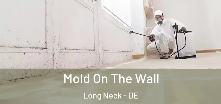 Mold On The Wall Long Neck - DE