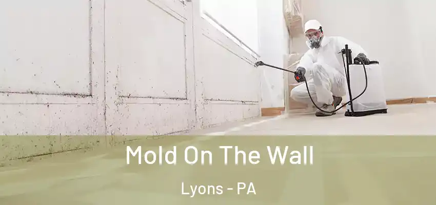 Mold On The Wall Lyons - PA