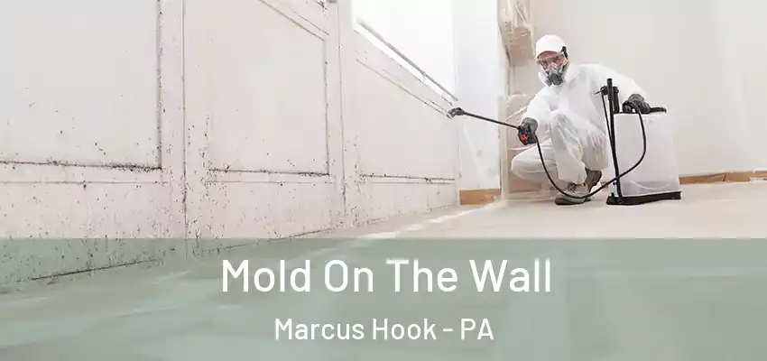  Mold On The Wall Marcus Hook - PA