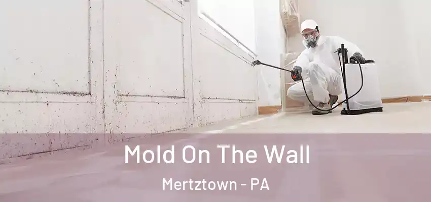  Mold On The Wall Mertztown - PA