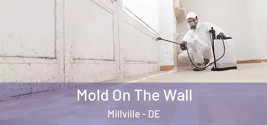 Mold On The Wall Millville - DE