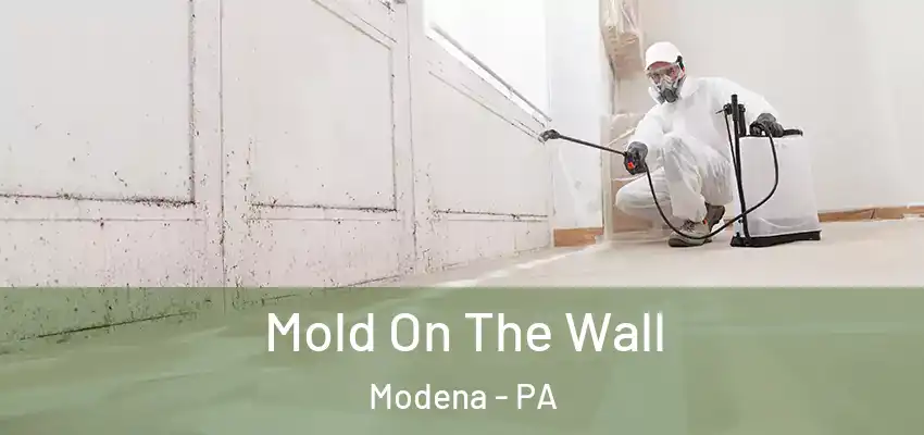  Mold On The Wall Modena - PA