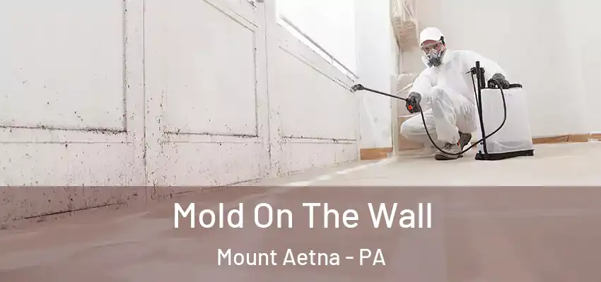 Mold On The Wall Mount Aetna - PA