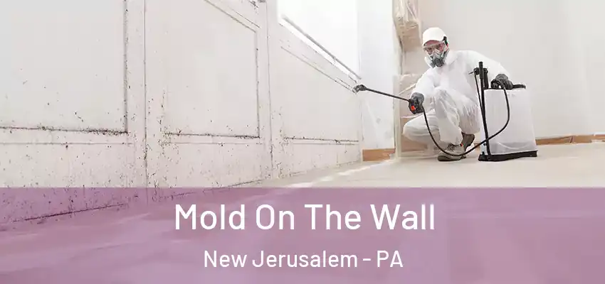 Mold On The Wall New Jerusalem - PA