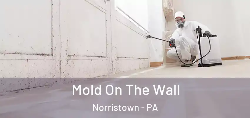  Mold On The Wall Norristown - PA
