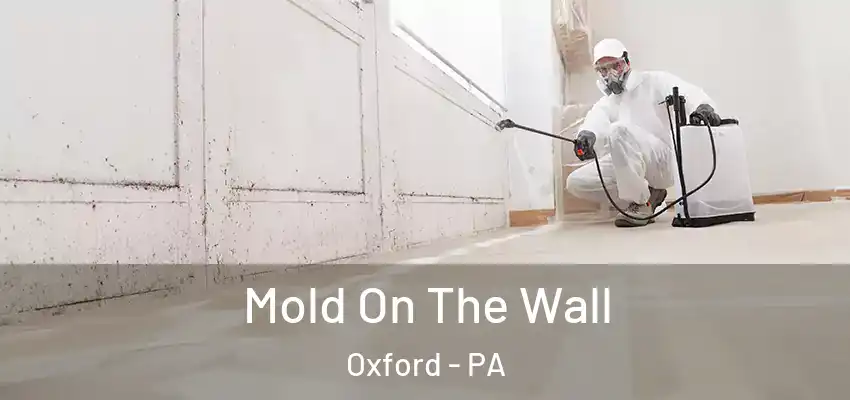 Mold On The Wall Oxford - PA