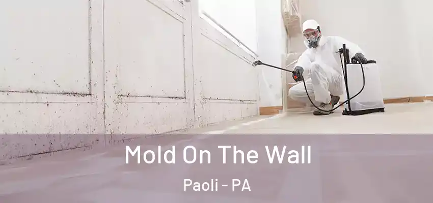  Mold On The Wall Paoli - PA