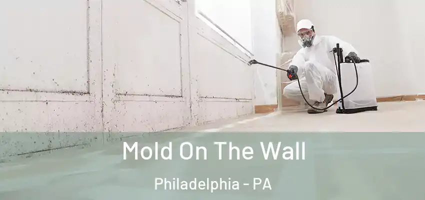 Mold On The Wall Philadelphia - PA