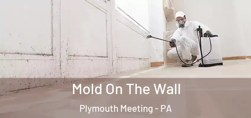  Mold On The Wall Plymouth Meeting - PA