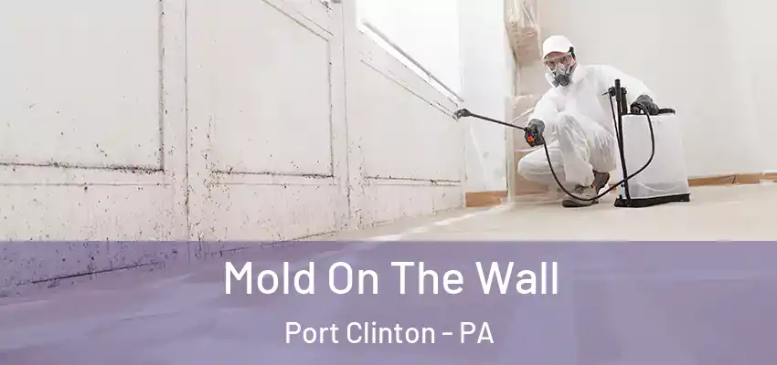  Mold On The Wall Port Clinton - PA