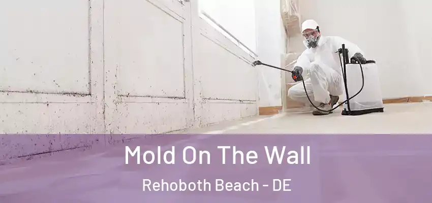Mold On The Wall Rehoboth Beach - DE