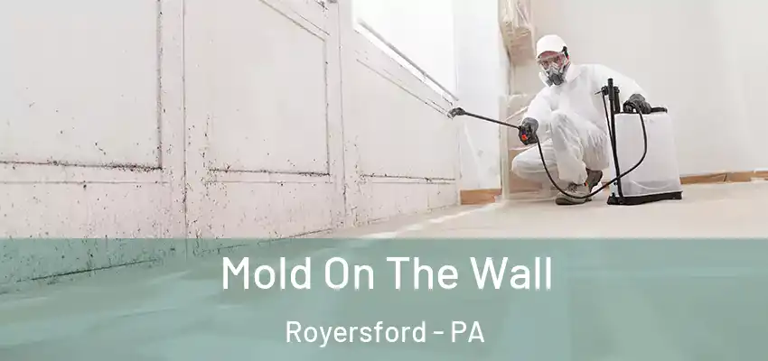  Mold On The Wall Royersford - PA