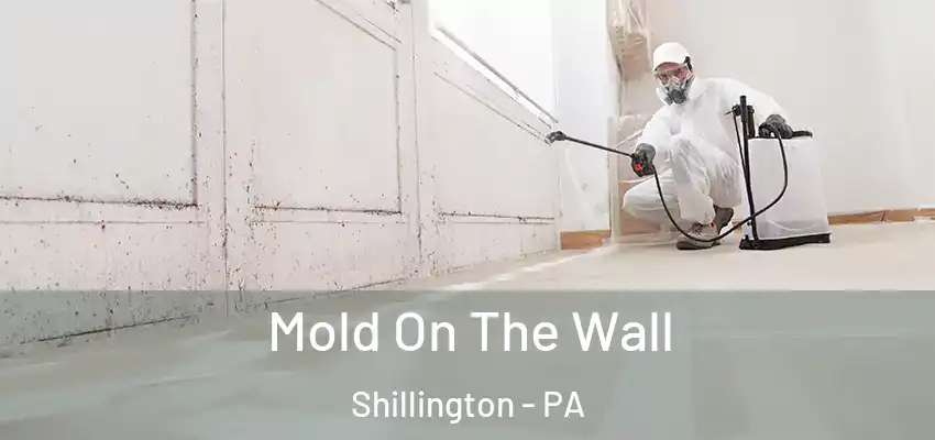 Mold On The Wall Shillington - PA
