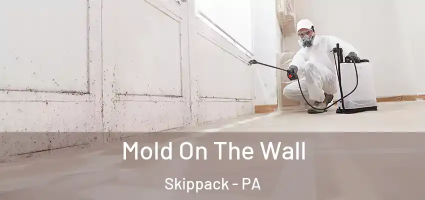 Mold On The Wall Skippack - PA