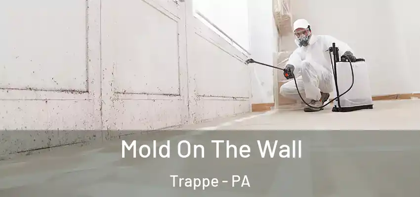 Mold On The Wall Trappe - PA
