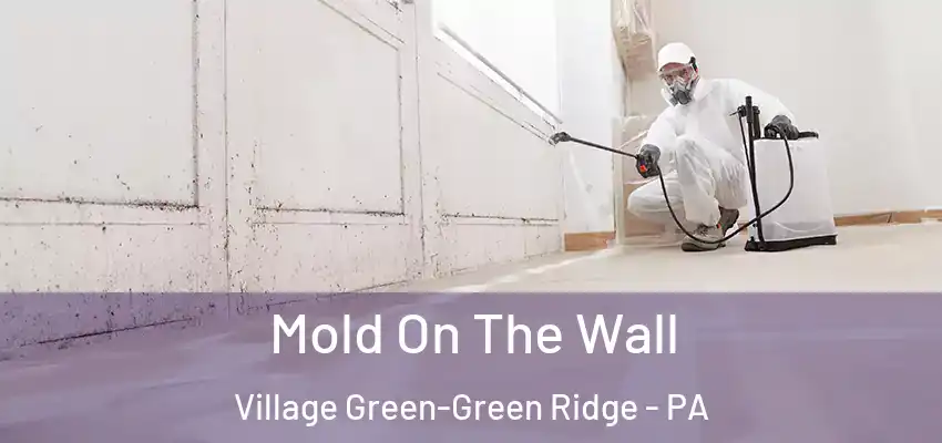 Mold On The Wall Village Green-Green Ridge - PA