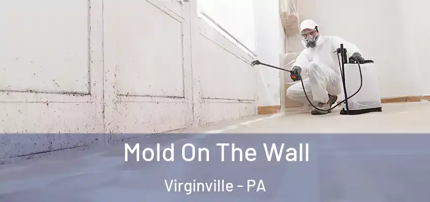  Mold On The Wall Virginville - PA
