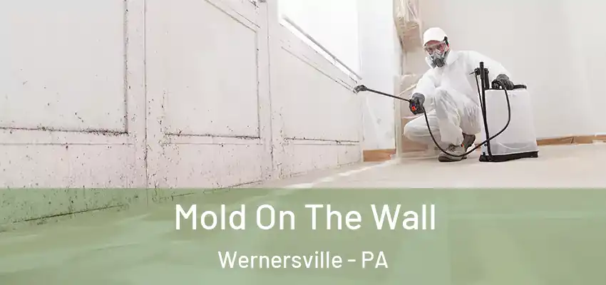 Mold On The Wall Wernersville - PA