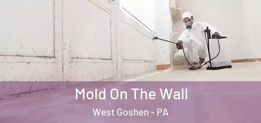  Mold On The Wall West Goshen - PA