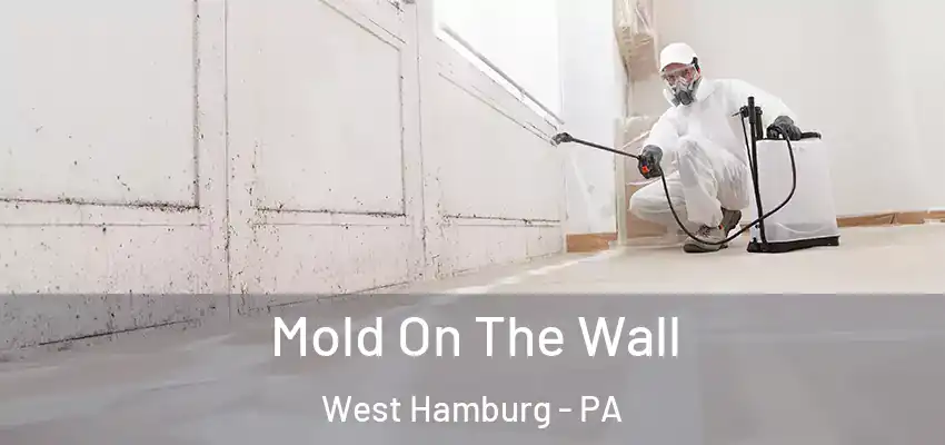  Mold On The Wall West Hamburg - PA