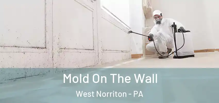  Mold On The Wall West Norriton - PA