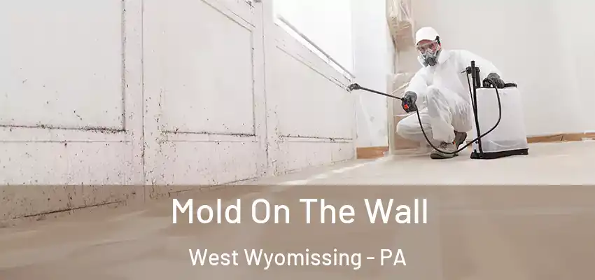  Mold On The Wall West Wyomissing - PA