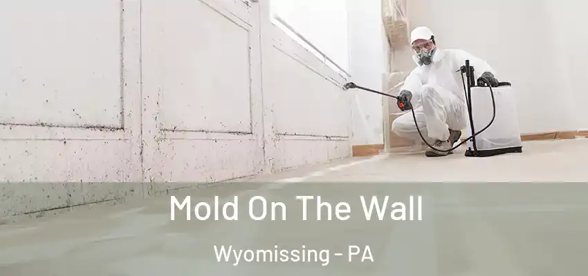 Mold On The Wall Wyomissing - PA
