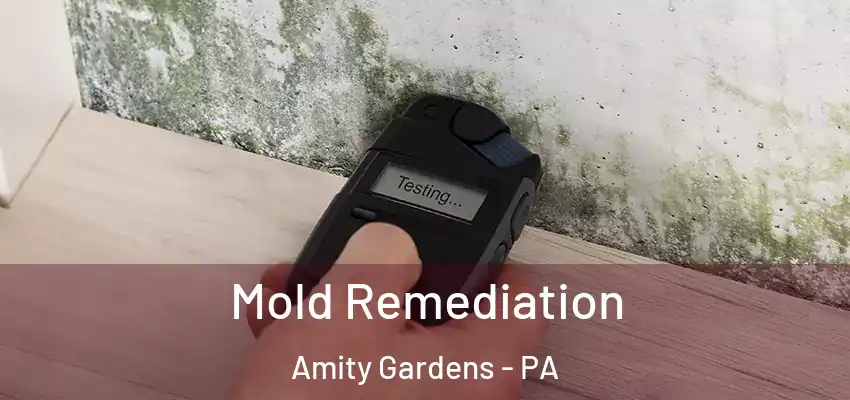  Mold Remediation Amity Gardens - PA