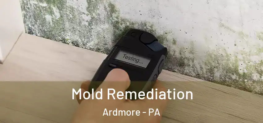 Mold Remediation Ardmore - PA