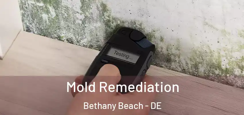  Mold Remediation Bethany Beach - DE