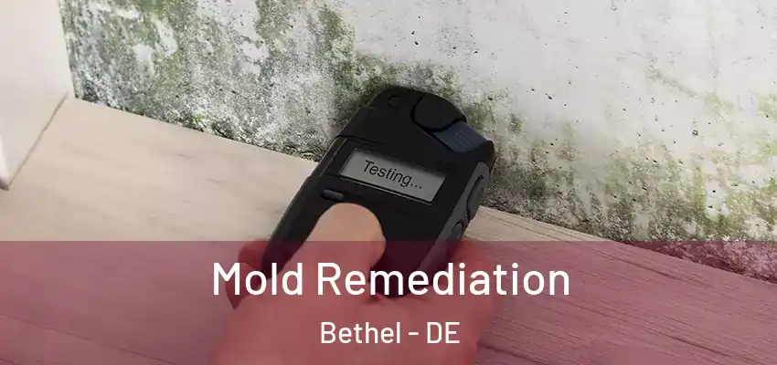 Mold Remediation Bethel - DE
