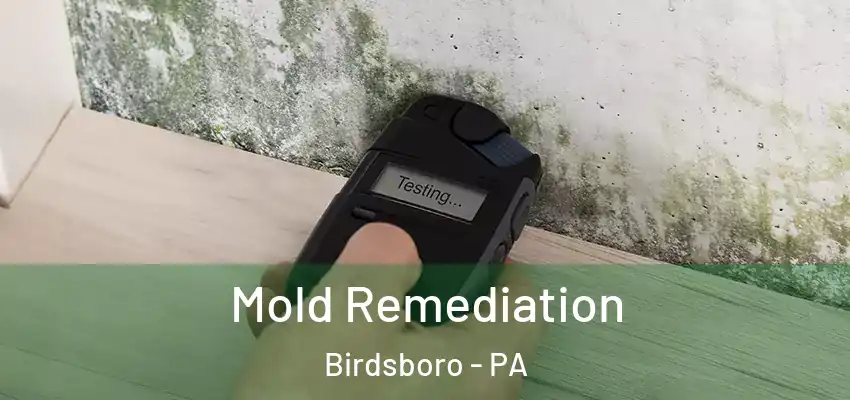  Mold Remediation Birdsboro - PA