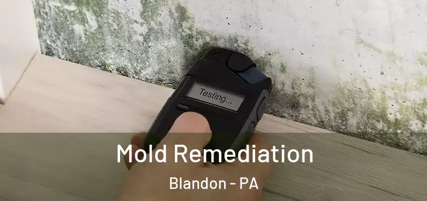 Mold Remediation Blandon - PA