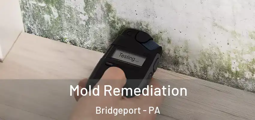  Mold Remediation Bridgeport - PA