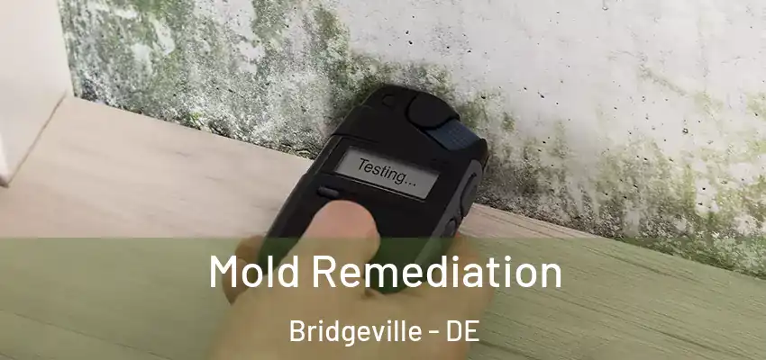 Mold Remediation Bridgeville - DE