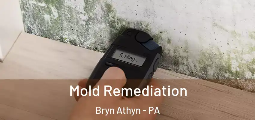  Mold Remediation Bryn Athyn - PA