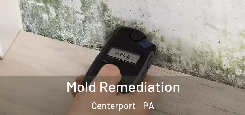 Mold Remediation Centerport - PA