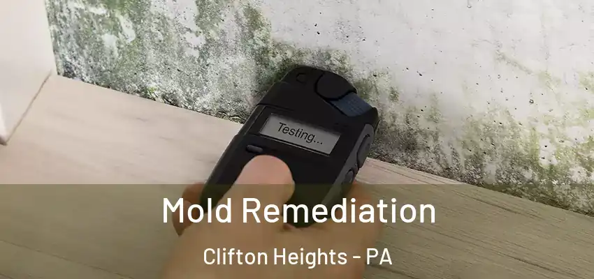  Mold Remediation Clifton Heights - PA