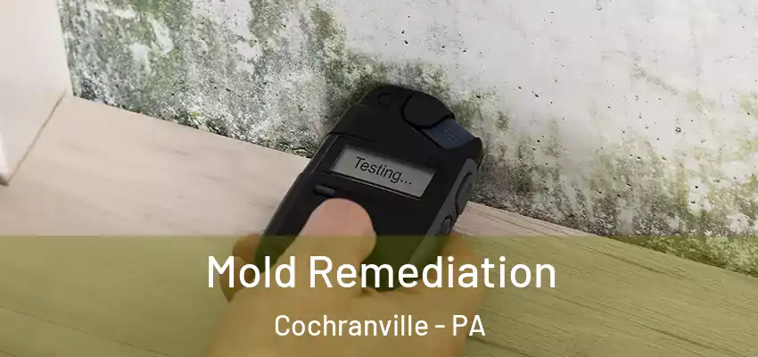Mold Remediation Cochranville - PA