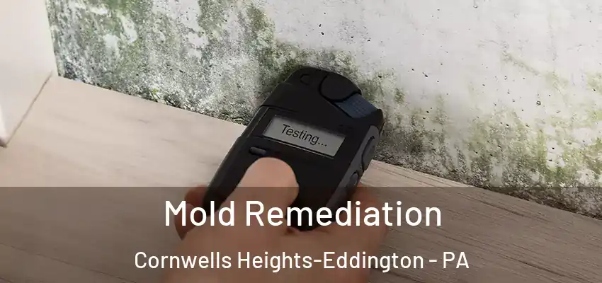 Mold Remediation Cornwells Heights-Eddington - PA