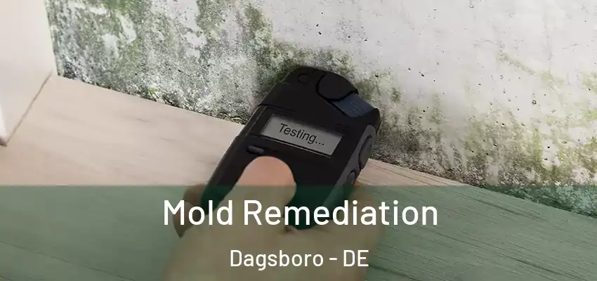 Mold Remediation Dagsboro - DE