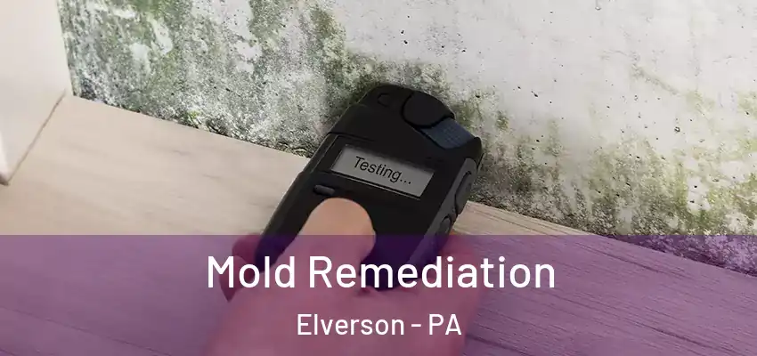 Mold Remediation Elverson - PA
