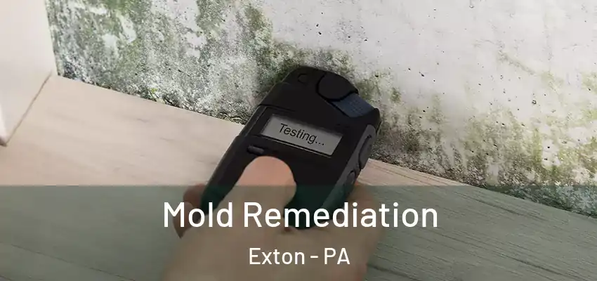 Mold Remediation Exton - PA