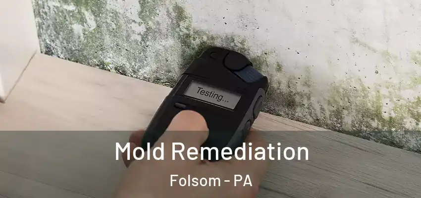 Mold Remediation Folsom - PA
