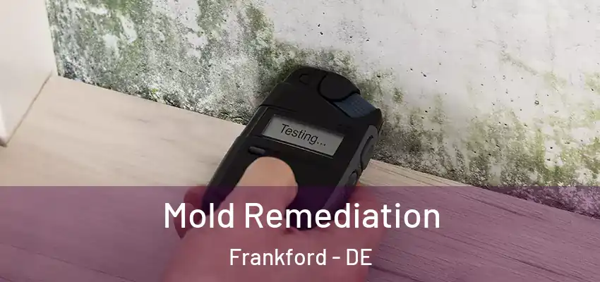 Mold Remediation Frankford - DE