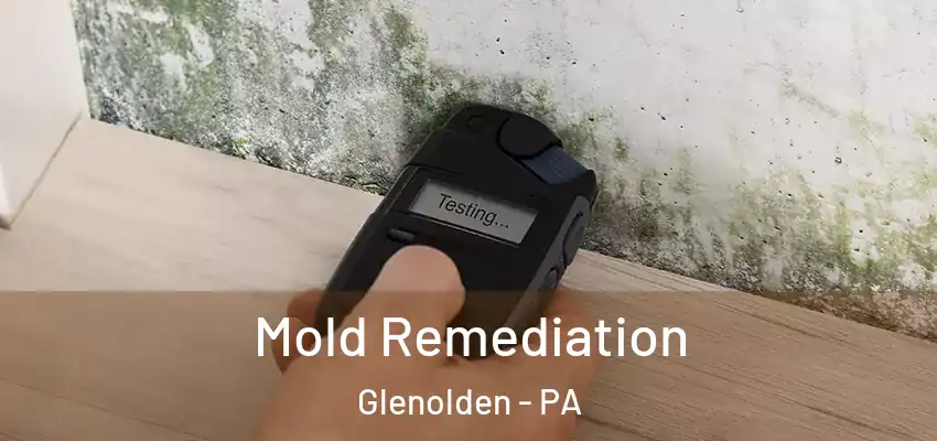  Mold Remediation Glenolden - PA