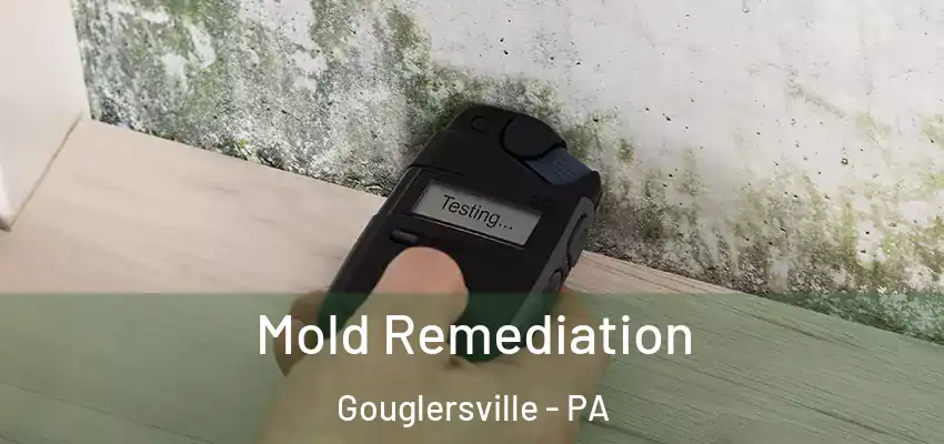  Mold Remediation Gouglersville - PA