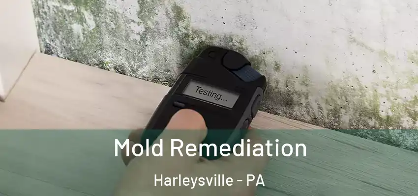 Mold Remediation Harleysville - PA