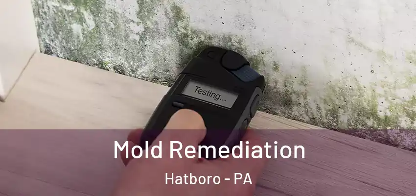 Mold Remediation Hatboro - PA